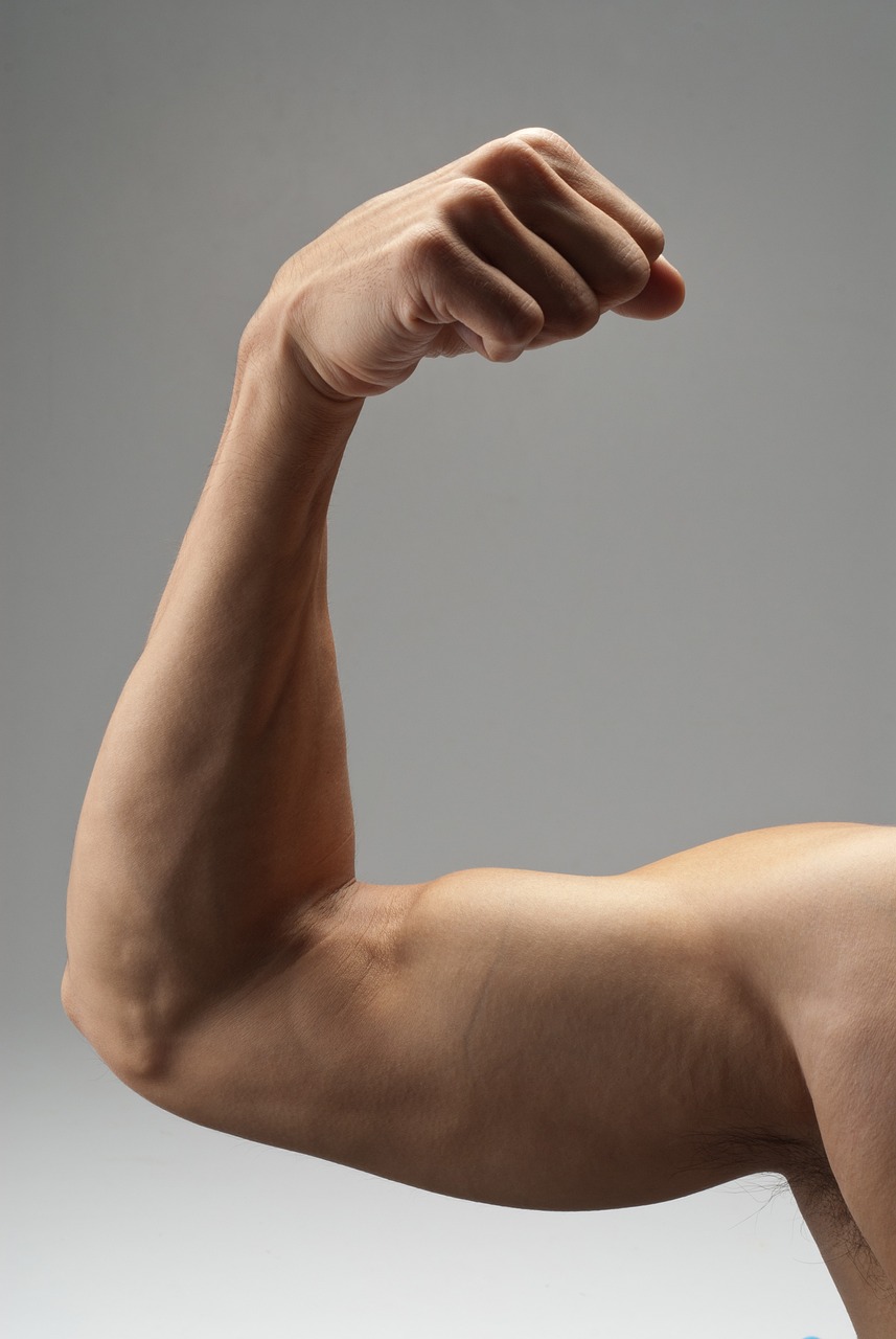 Najlepsze ćwiczenia na biceps dla silnych ramion
