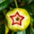 Star Apple – egzotyczny owoc pełen zdrowotnych właściwości